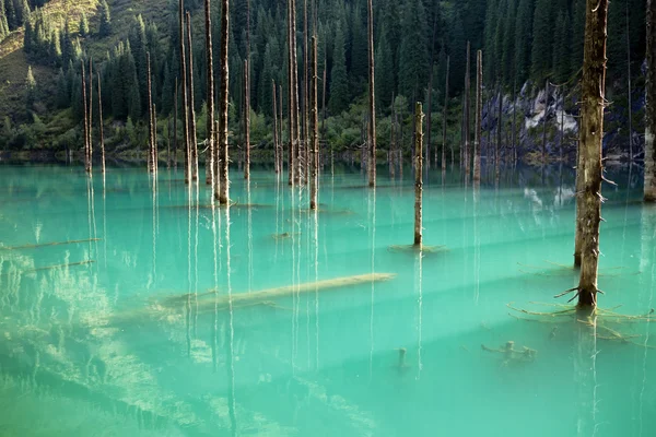 Meer kaindy in de Kazachstan — Stockfoto