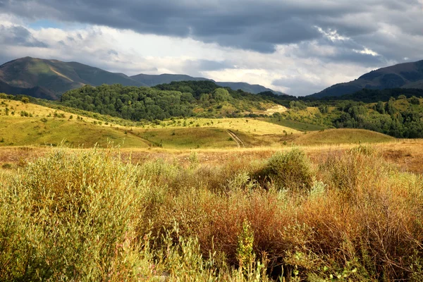 Paisagem de verão nas montanhas — Fotografia de Stock