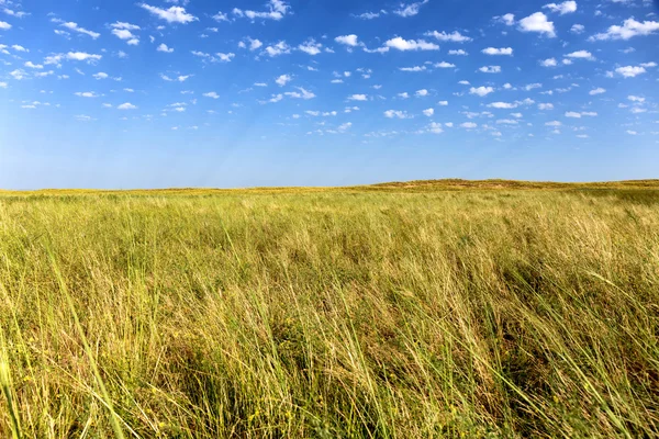 Большая казахская степь — стоковое фото
