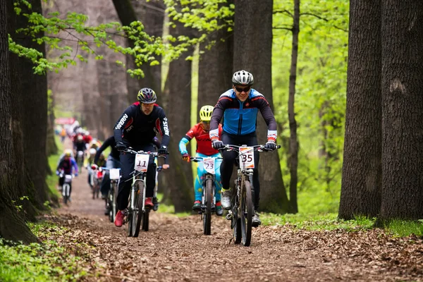 Mountain bike competitie — Stockfoto