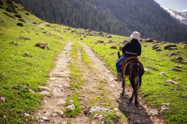 Çocuk bir eşek rides