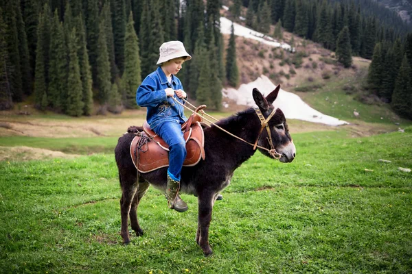 Chico monta un burro —  Fotos de Stock