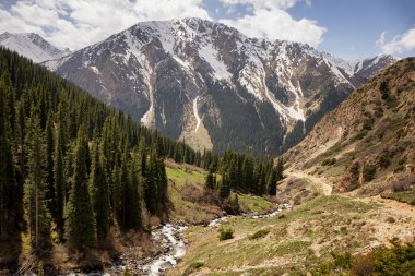 Tian Shan mountain, Kyrgyzstan  clipart