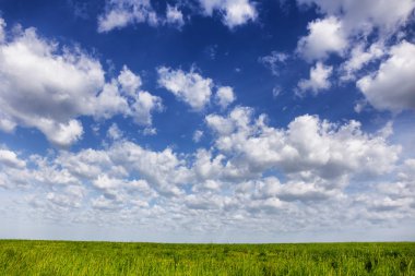 Bahar büyük kazak bozkır