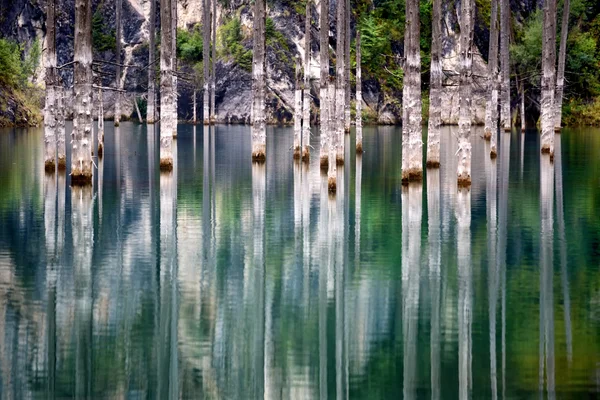 Lago Kaindy in Kazakistan — Foto Stock