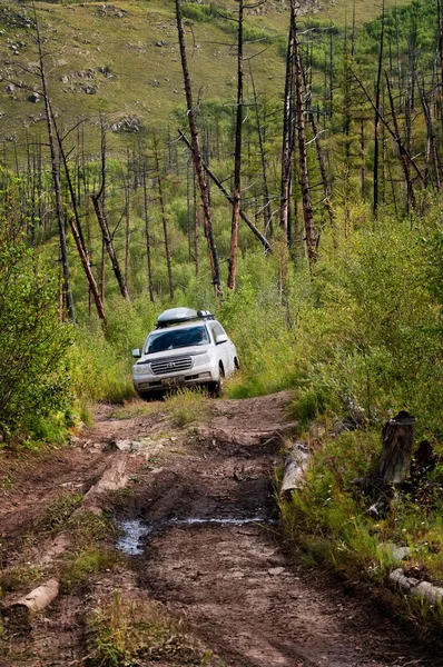 Travel in Mongolia — Stock Photo, Image