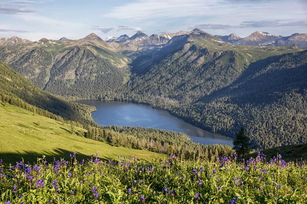 Bergmeer in East Kazakhstan — Stockfoto