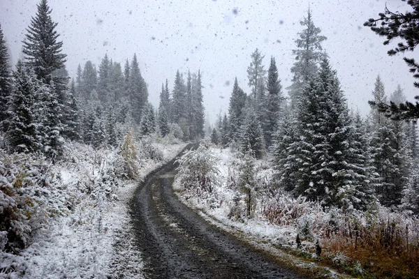 Première chute de neige d'automne — Photo