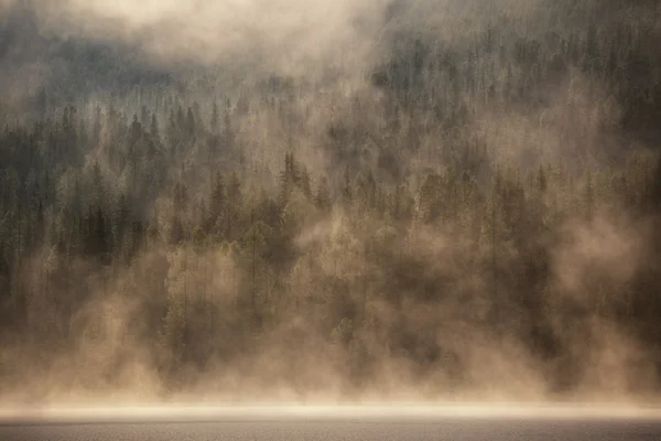 Heavy fog in the early morning on a mountain lake — Stock Photo, Image