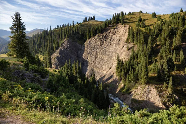 Rocks in mountain river valley — Stock Photo, Image