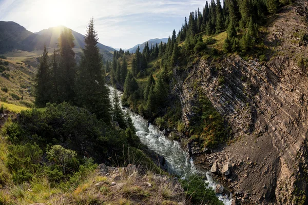 Rochers dans la vallée de la rivière de montagne — Photo