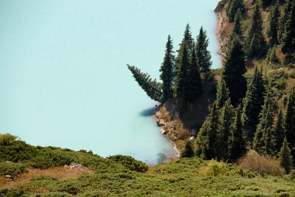 Büyük Almatı Gölü intien Tanrı Dağları detay — Stok fotoğraf