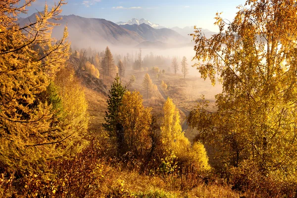 Mañana de otoño en el valle de la montaña — Foto de Stock