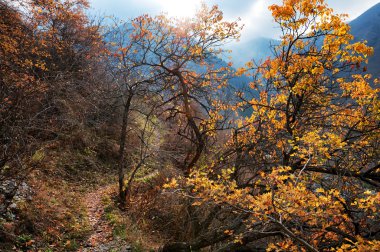 Sonbahar Dağları'nda terk edilmiş iz
