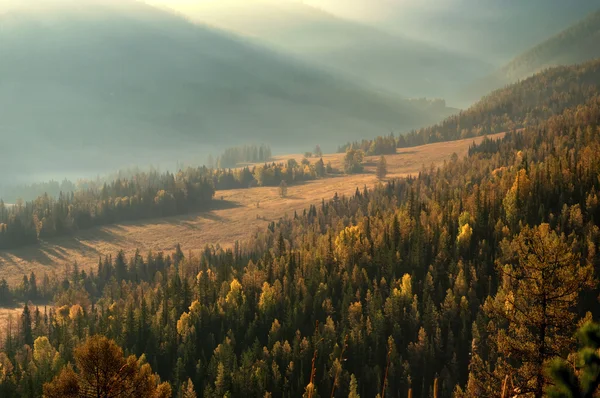 Porannej mgle w Dolina górska — Zdjęcie stockowe