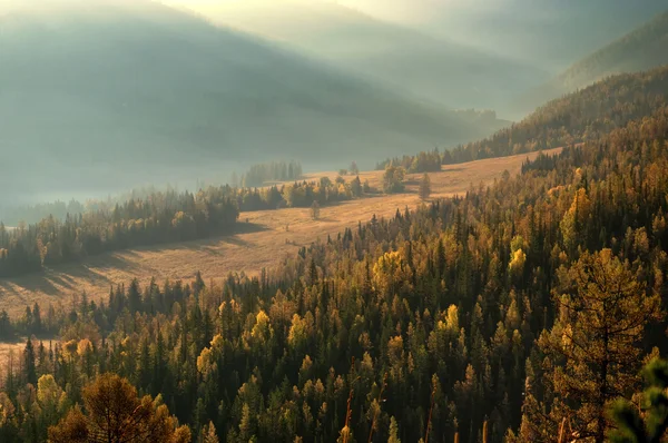 Brouillard matinal dans une vallée de montagne — Photo