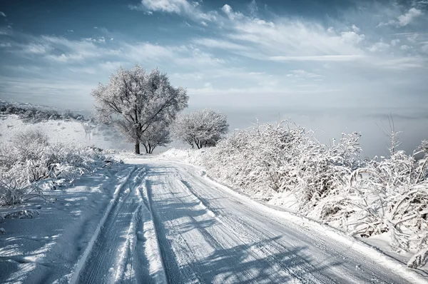 Сніг дороги — стокове фото