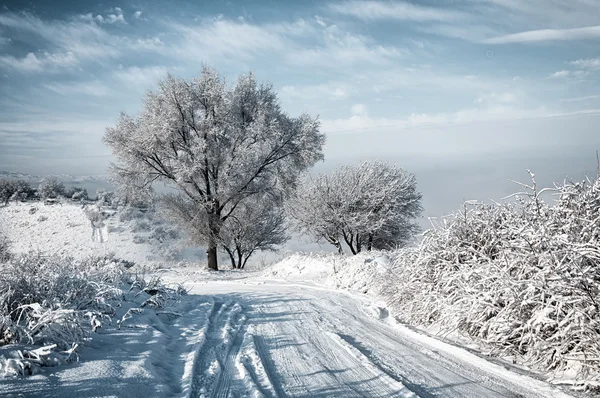 Estrada de neve — Fotografia de Stock