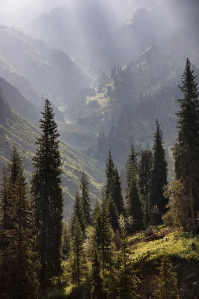 Sommaren berg — Stockfoto