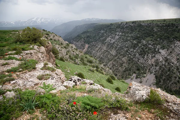 Aksu River Canyon — Stock Photo, Image