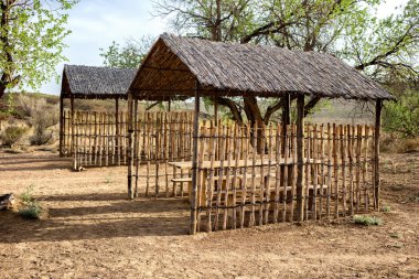 Çölde saman bowers