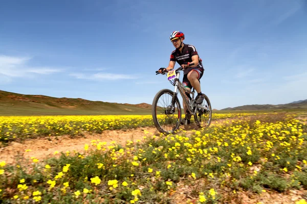 Mountain bike andventure competitie — Stockfoto