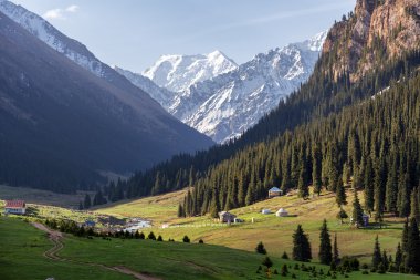 Dağ vadisi