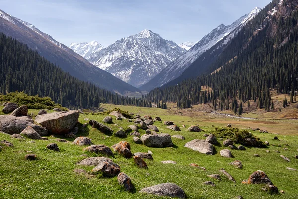 Gebirgstal — Stockfoto