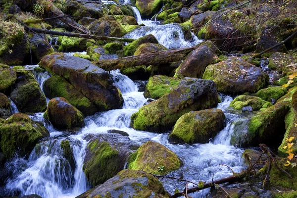 Cascades üstünde dağ nehir — Stok fotoğraf
