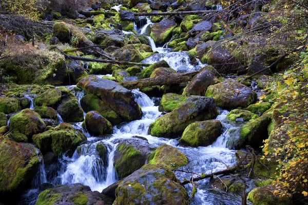 Cascades på berg flod — Stockfoto