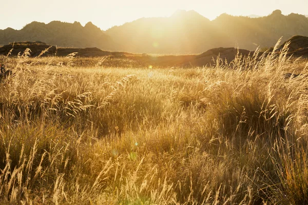 El sol sale de detrás de la cordillera — Foto de Stock