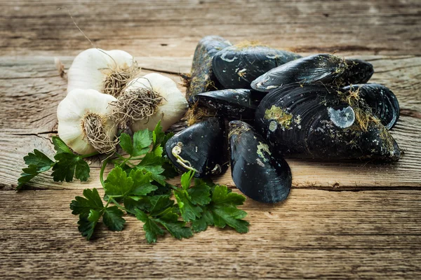 Mejillones crudos ajo y perejil sobre mesa de madera vieja — Foto de Stock