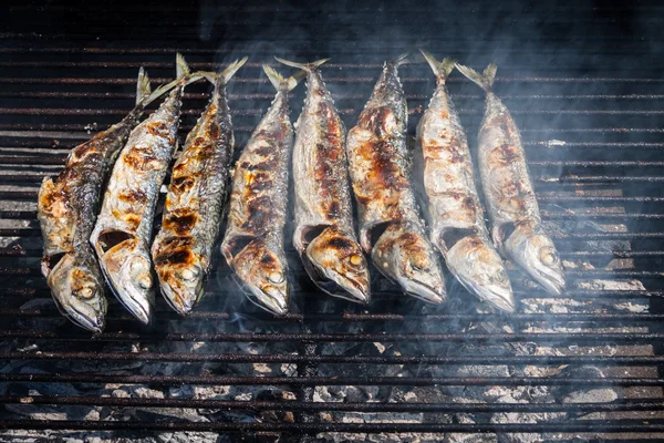 Makrely na grilu — Stock fotografie
