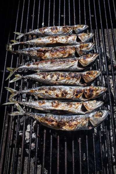 Mackerel grilled Stock Photo