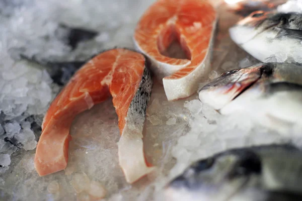 Salmon steaks on ice, on display in fish store — Stock Photo, Image