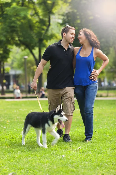 Pareja feliz enamorada paseando en el parque con hierba, con un perro husky — Foto de Stock