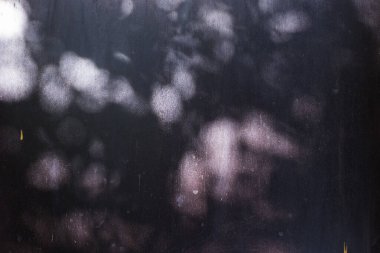 Soyut arkaplan gölgeleri ışık saçar, doğal yaprak dalları arka plan ve duvar kağıtları için dökülür, doğa gölgesi.