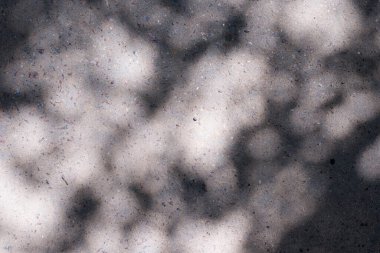 Soyut arkaplan gölgeleri ışık saçar, doğal yaprak dalları arka plan ve duvar kağıtları için dökülür, doğa gölgesi.