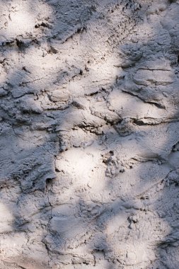 Soyut arkaplan gölgeleri ışık saçar, doğal yaprak dalları arka plan ve duvar kağıtları için dökülür, doğa gölgesi.