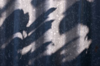 Soyut arkaplan gölgeleri ışık saçar, doğal yaprak dalları arka plan ve duvar kağıtları için dökülür, doğa gölgesi.