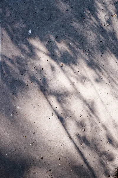 Abstrato Folhas Sombra Fundo Com Luz Bokeh Folhas Naturais Árvore — Fotografia de Stock