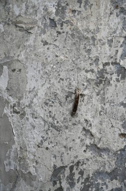 Eski kirli duvar kapanıyor. Grunge soyut fotoğraf arkaplanı. Güzel taş dokusu deseni.