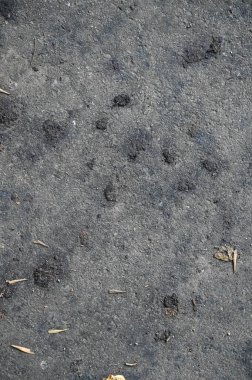 Eski kirli duvar kapanıyor. Grunge soyut fotoğraf arkaplanı. Güzel taş dokusu deseni.