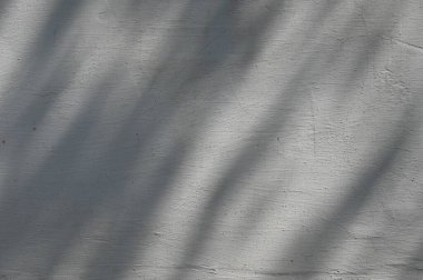 Arkaplan ve duvar kâğıdı için düşen doğal yaprak ağaç dalının soyut gri gölge arkaplanı, duvardaki doğa gölgesi deseni