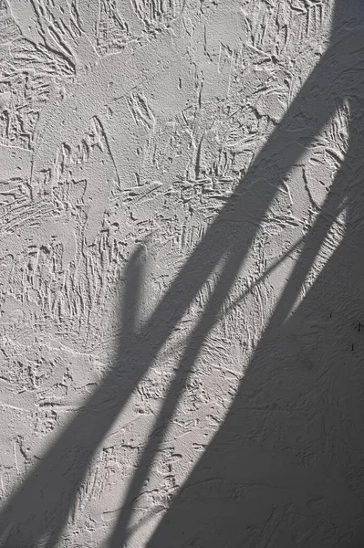Αφηρημένη Γκρι Σκιά Φόντο Των Φυσικών Φύλλων Κλαδί Δέντρο Πτώση — Φωτογραφία Αρχείου