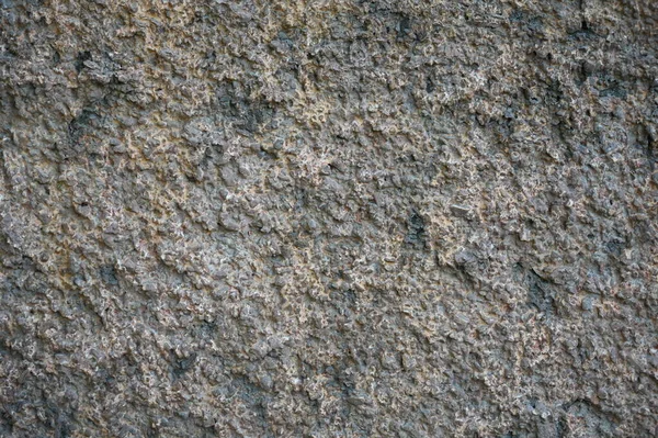 Alte Schmutzige Mauer Aus Nächster Nähe Grunge Abstrakter Fotohintergrund Schöne — Stockfoto