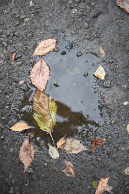 Eski kirli duvar kapanıyor. Grunge soyut fotoğraf arkaplanı. Güzel taş dokusu deseni. İşlem sonrası ve tasarım için iyi
