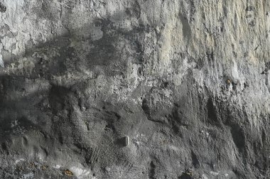 Arkaplan ve duvar kâğıdı için düşen doğal yaprak ağaç dalının soyut gri gölge arkaplanı, duvardaki doğa gölgesi deseni