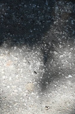 Arkaplan ve duvar kâğıdı için düşen doğal yaprak ağaç dalının soyut gri gölge arkaplanı, duvardaki doğa gölgesi deseni