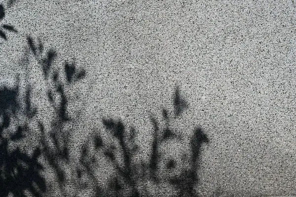 天然落叶树枝落壁纹理背景与墙纸灰暗背景 墙面自然阴影图案艺术 — 图库照片